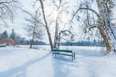 Winter at the Leopoldskron pond