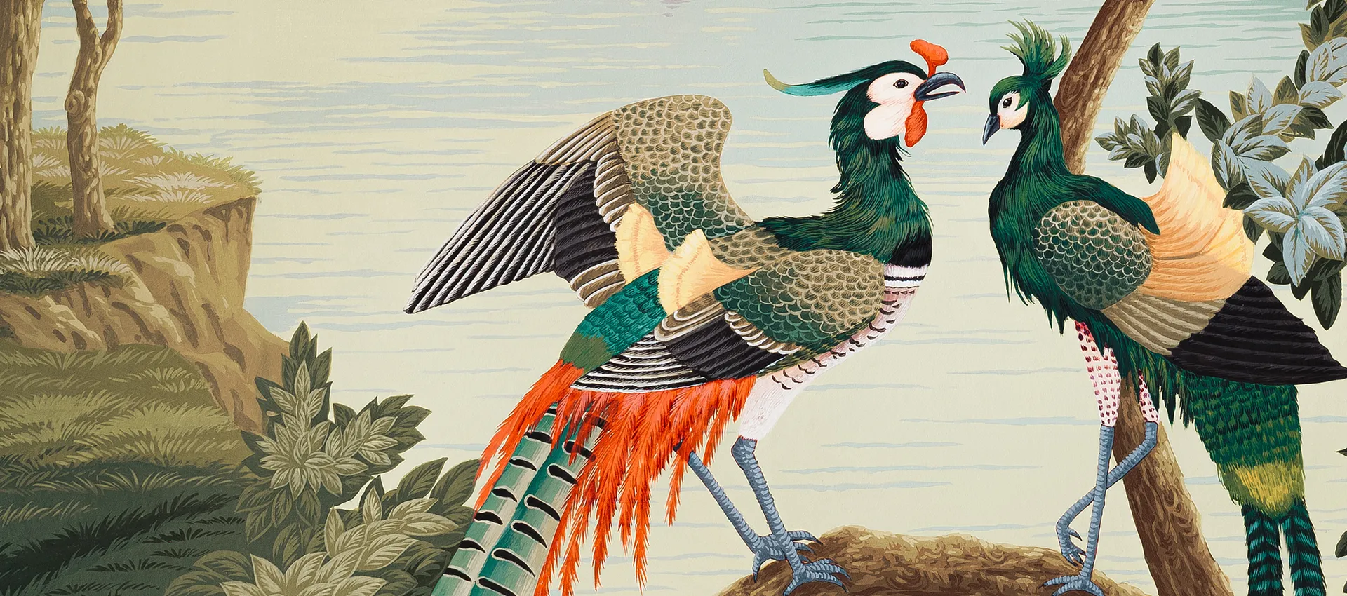 Two Tropilal Birds