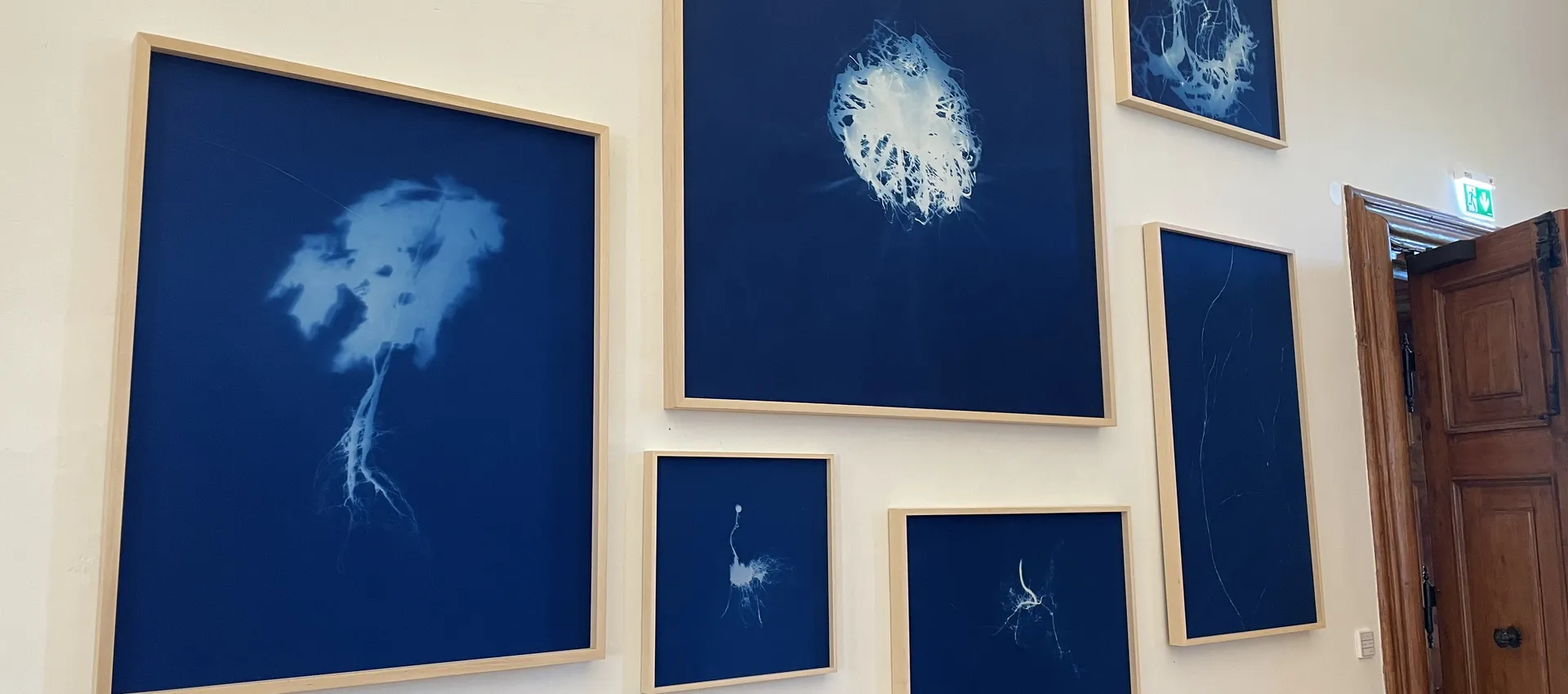 Events und Ausstellungen im Schloss Leopoldskron