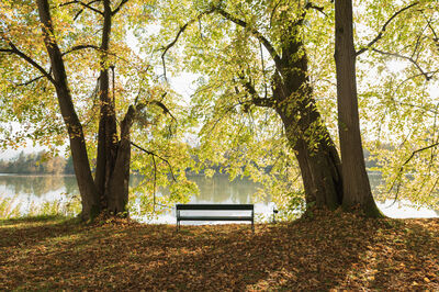 Autumn atmosphere at the Leopoldskron pond