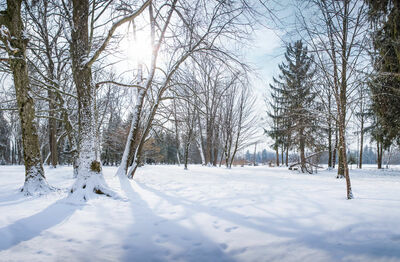 Schloss Leopoldskron winter landscape